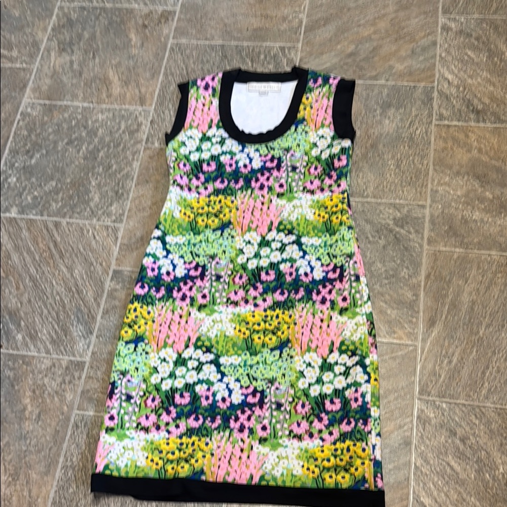 Floral Multicolor Dress